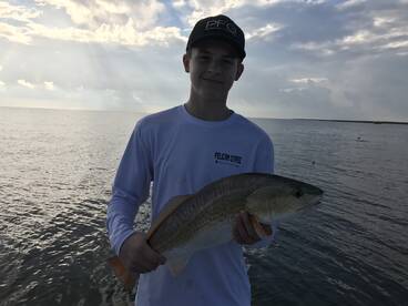 Venice Report Photo 1