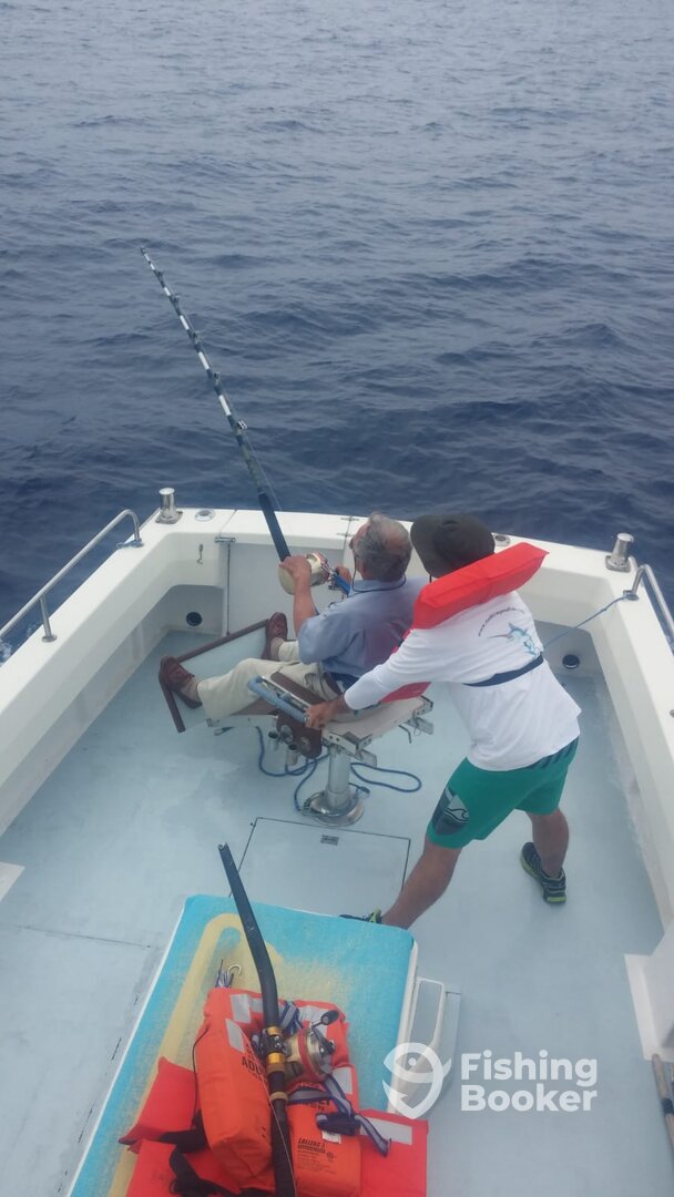 Funchal Report Photo 0