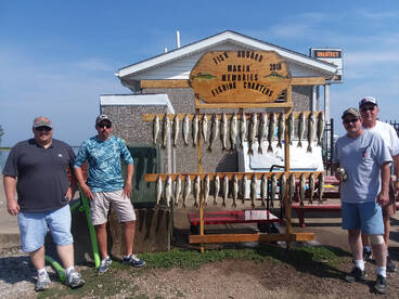 Slower Saturday bite but still limited