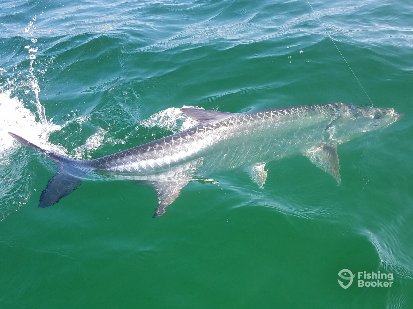 Destin Report Photo 0