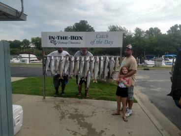 The big fish are here