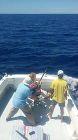 Blue Marin catch nd relase