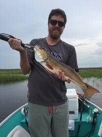 Jacksonville Report Photo 2
