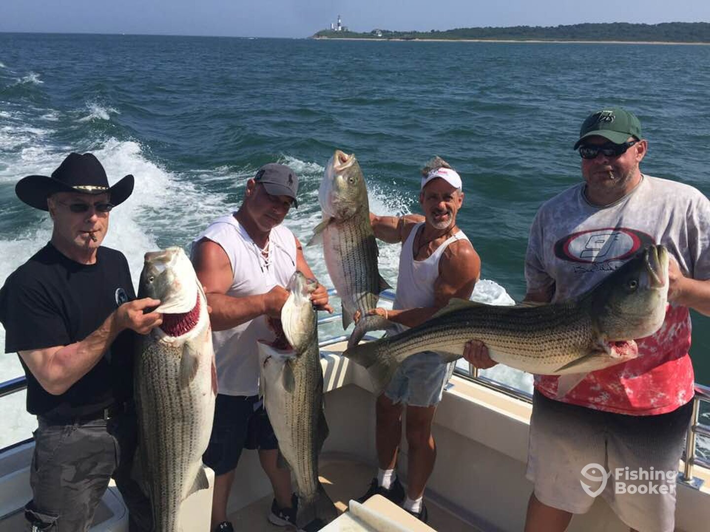 Montauk Report Photo 0