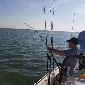 Beaufort Report Photo 1