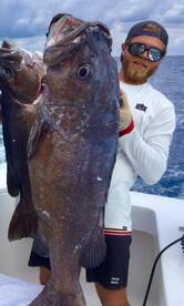 Deepwater wreckfish