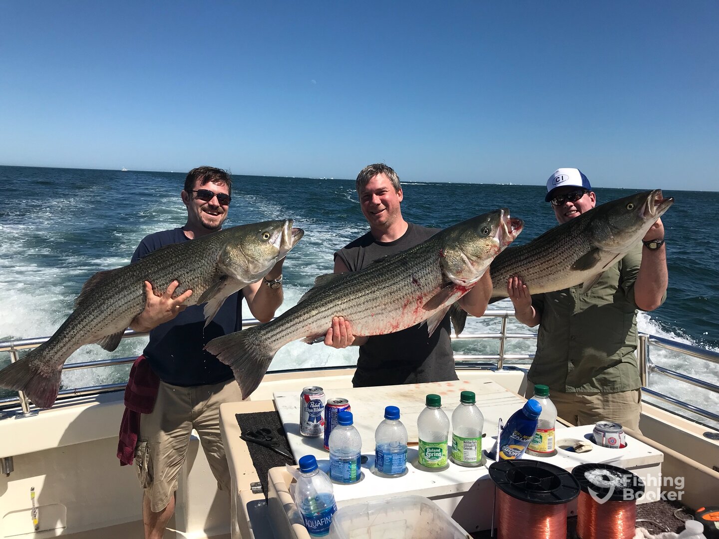 Montauk Report Photo 0