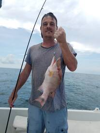 Bay Pines Report Photo 2