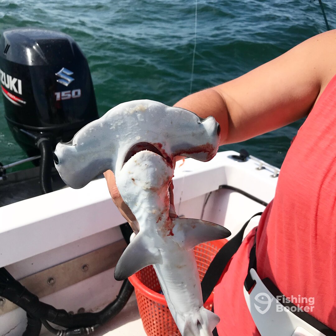 Ocean City Report Photo 0