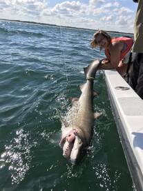 Ocean City Report Photo 2