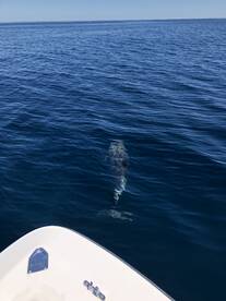 Point Pleasant Beach Report Photo 1