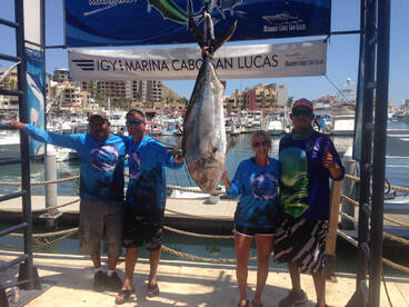 Cabo San Lucas Report Photo 2
