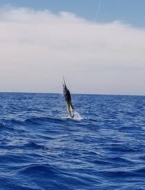 Puerto Quetzal Report Photo 2