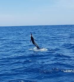 Puerto Quetzal Report Photo 1