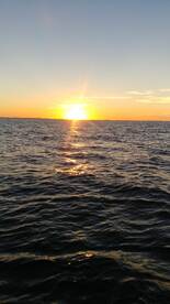 Newburyport Report Photo 1
