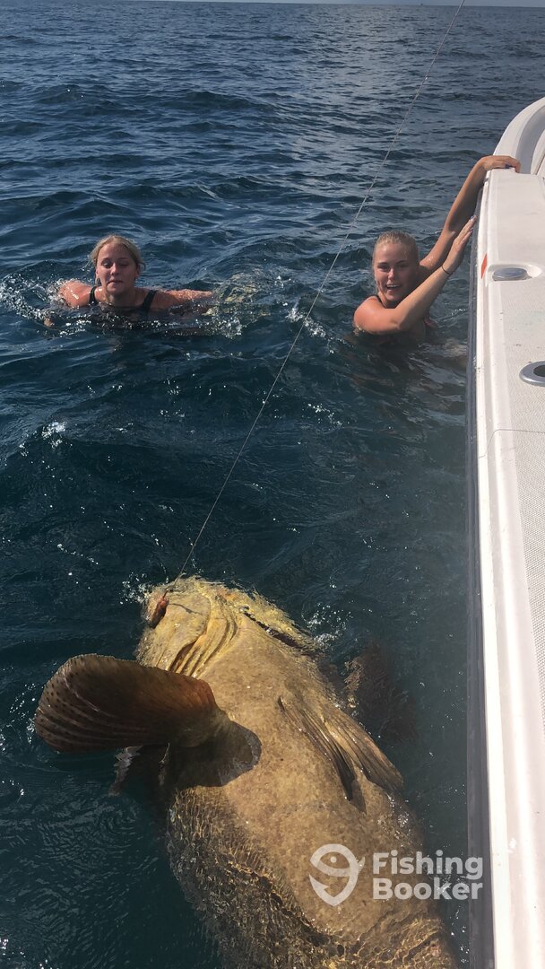 Sarasota Report Photo 0