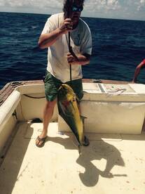 WHEN IT'S HOT IT'S HOT FOR DOLPHIN!!!!!!