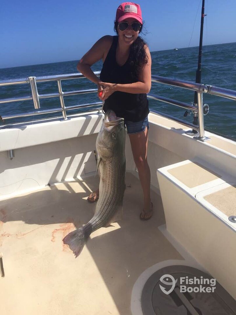 Montauk Report Photo 0