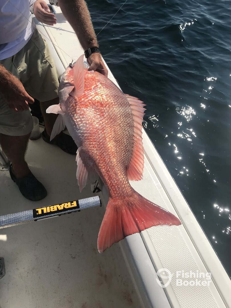 Orange Beach Report Photo 0