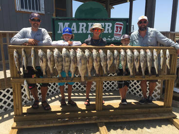 Aransas Pass Report Photo 1