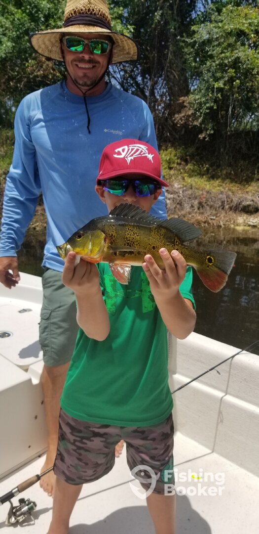 Bonita Springs Report Photo 0