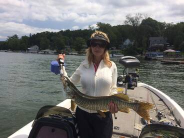 Evening / and half day morning trips.