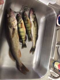 Just playing around on my pontoon boat