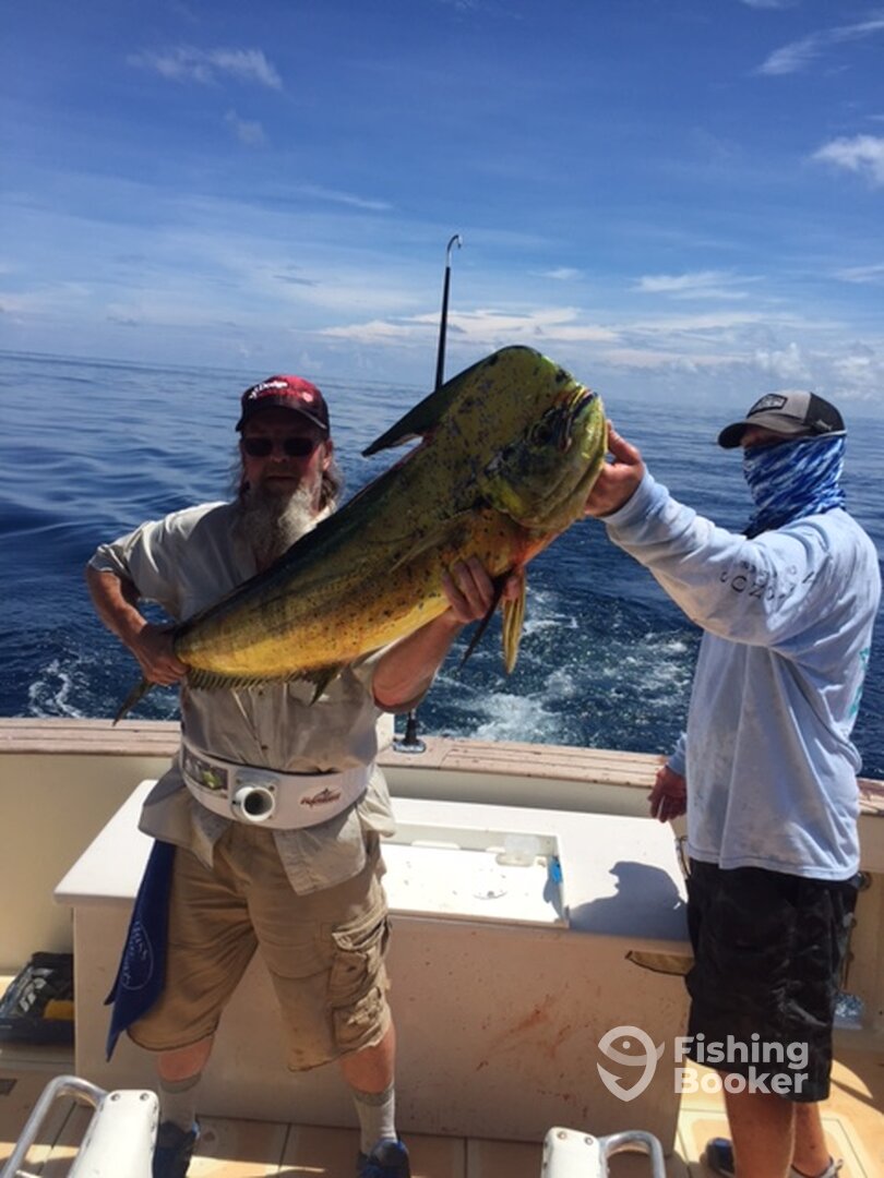 August 17, 2015  Mahi