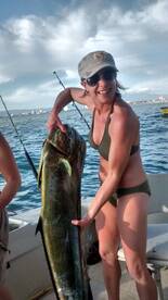 Puerto Vallarta Report Photo 1