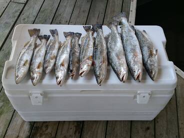 First time fishing in Louisiana