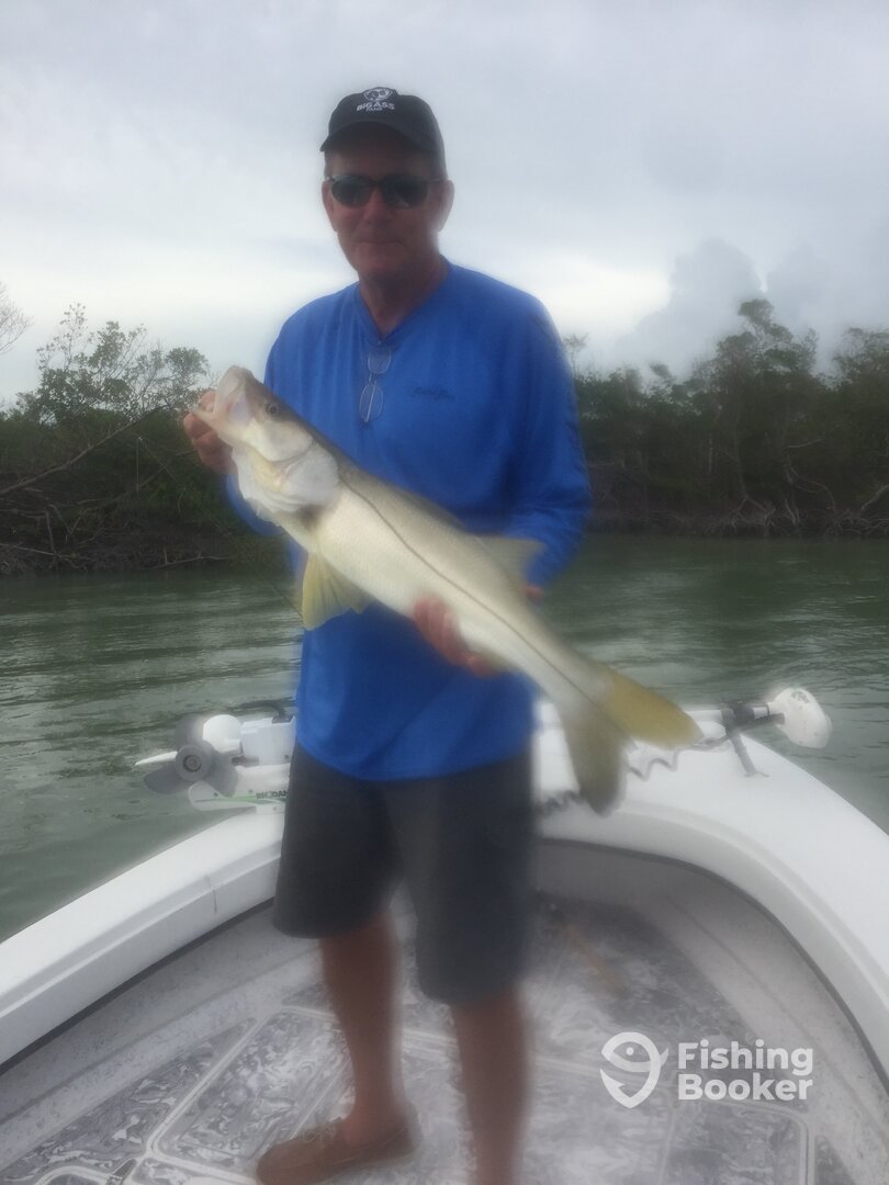 Marco Island Report Photo 0