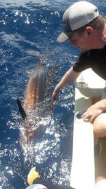 Playa Flamingo Report Photo 1