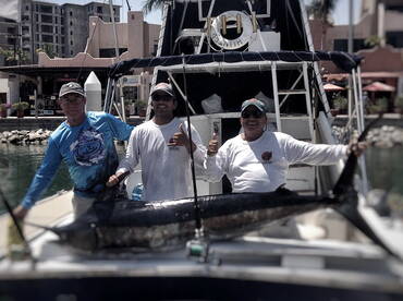 Nice Marlin 