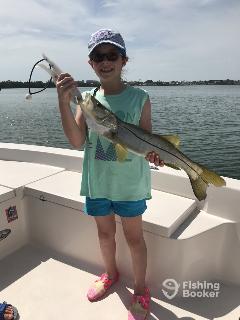 Sarasota Report Photo 0