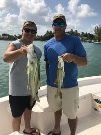Sarasota Report Photo 2