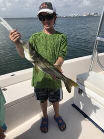 Sarasota Report Photo 1
