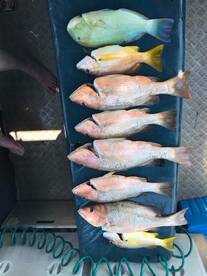 Bag of Goldies at the end of the day