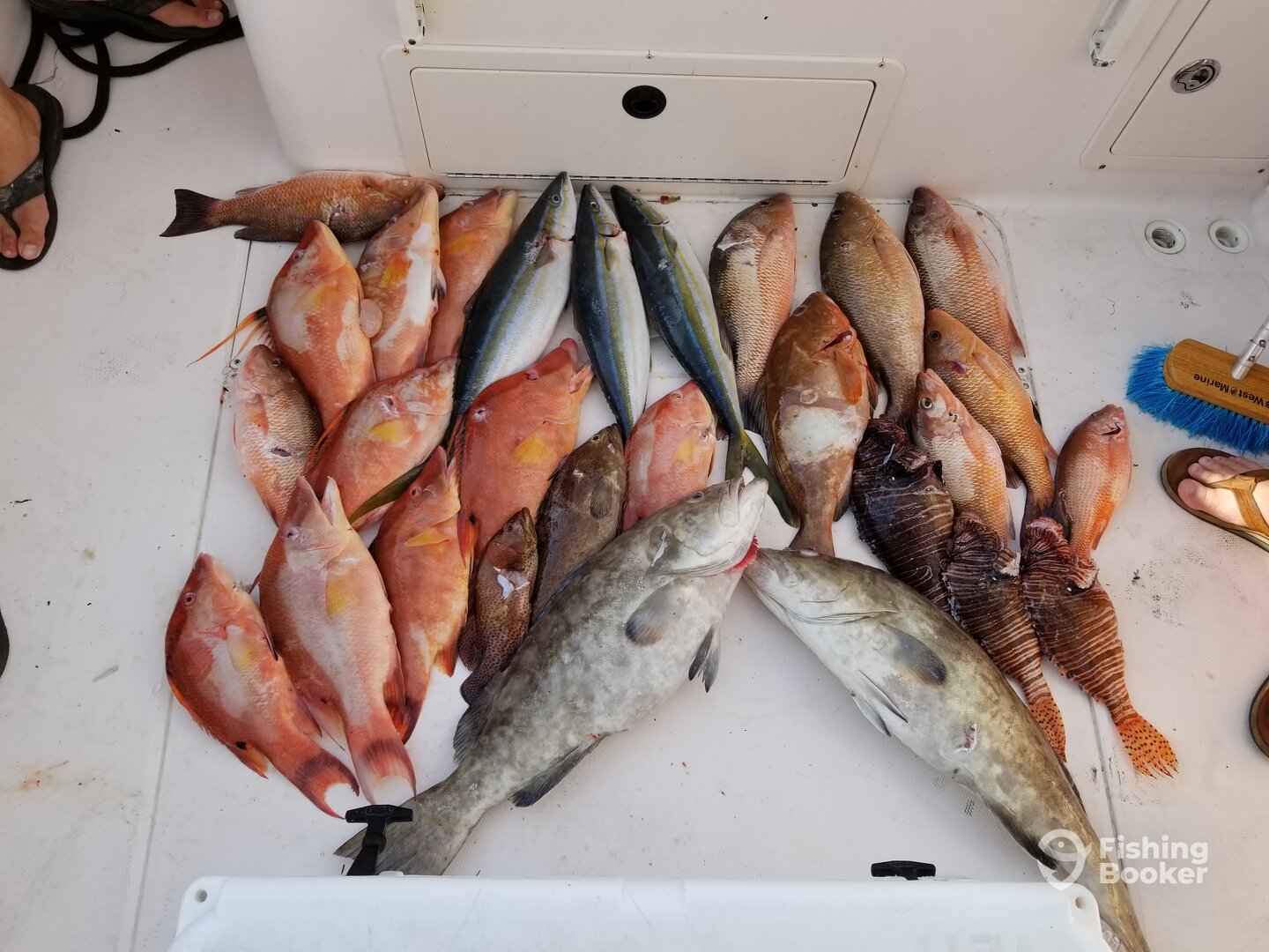 Clearwater Report Photo 0