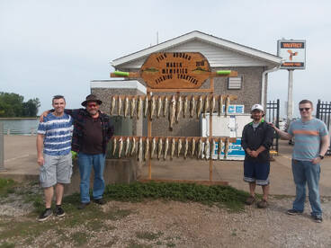 Wonderful walleye bite today