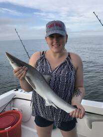 Ocean City Report Photo 2