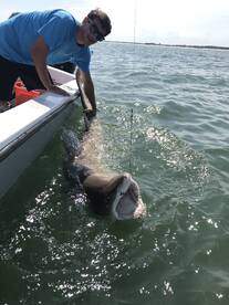 Ocean City Report Photo 2