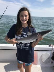 Another great shark trip 