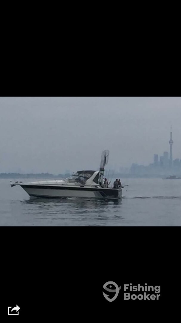 St. Catharines Report Photo 0