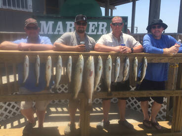 Aransas Pass Report Photo 2