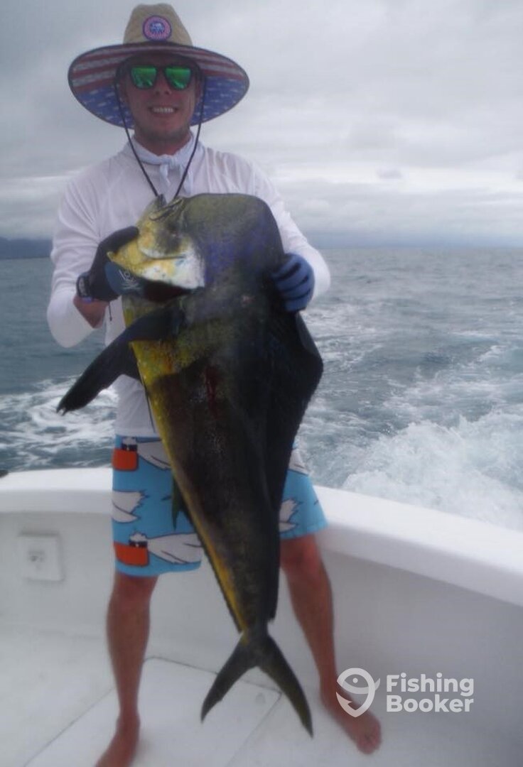 Quepos Report Photo 0