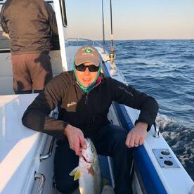 Atlantic bonito and Yellowtail bonanza