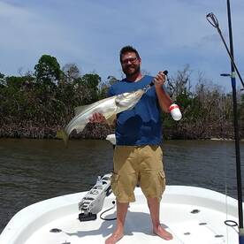 No Red Tide in The Ten Thousand Islands