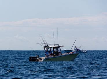 Holden Beach Report Photo 2
