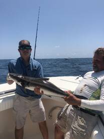 Nice cobia