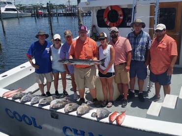 Orange Beach Report Photo 1